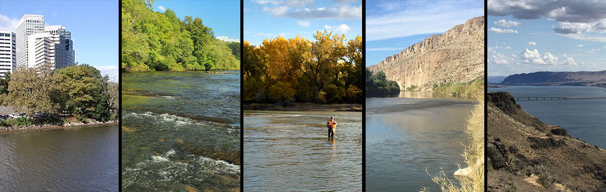 Collage of five river locations across the United States