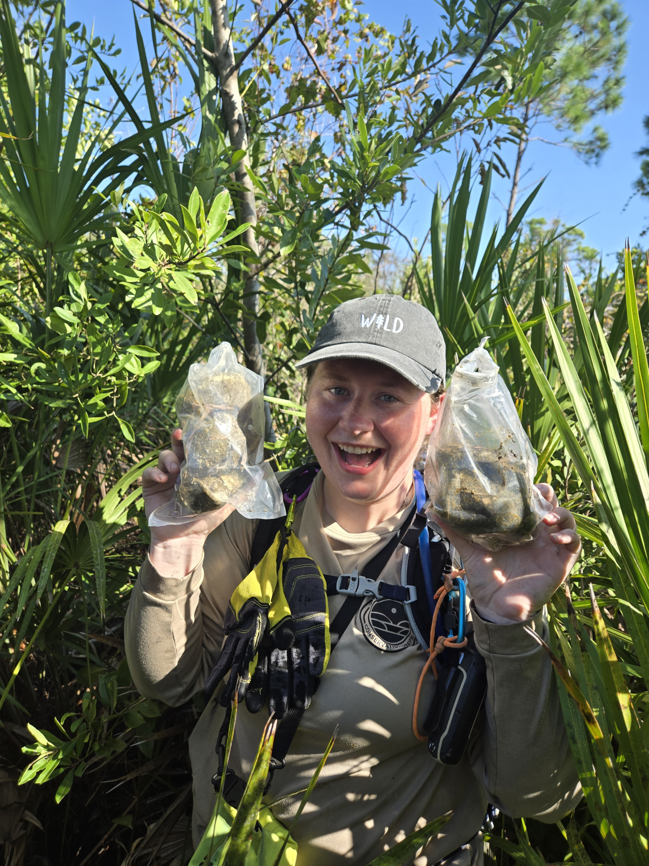 a person with field gear holds up two bags with brown contents, leaves and shrubs in the background