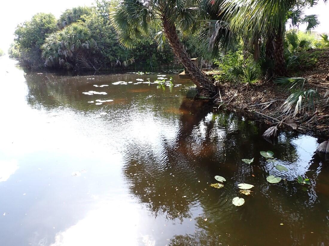 Freshwater habitat in southwestern Florida