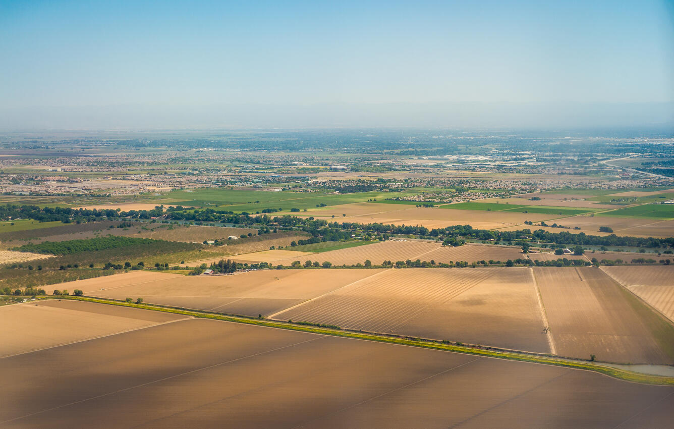 An aerial view of farmland in the foreground, rows of trees and a more urban area in the background.