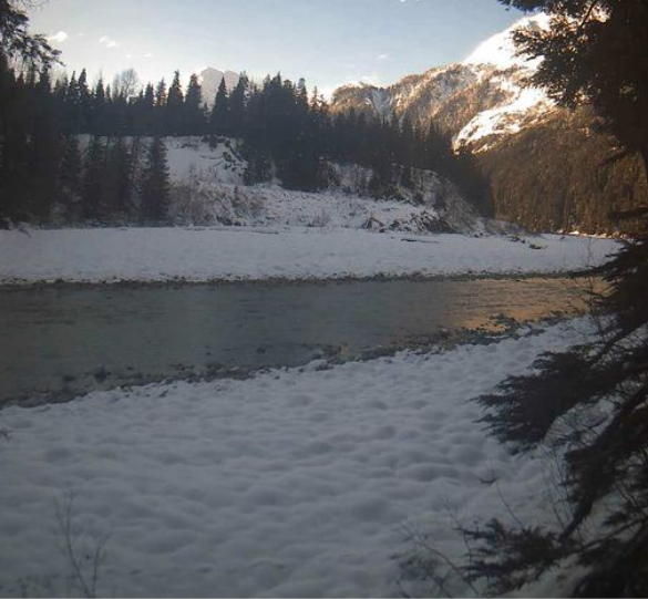 Salmon River near Hyder Alaska during the wintertime with snow around it.