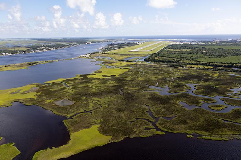 Salt marsh near Naval Station Mayport in Jacksonville, Florida. 