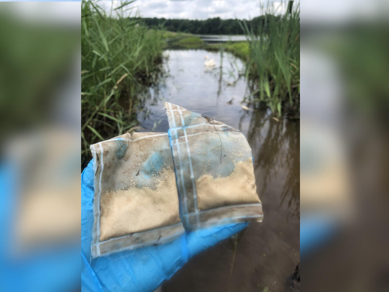 Gloved Hand holding up samples collected from the river