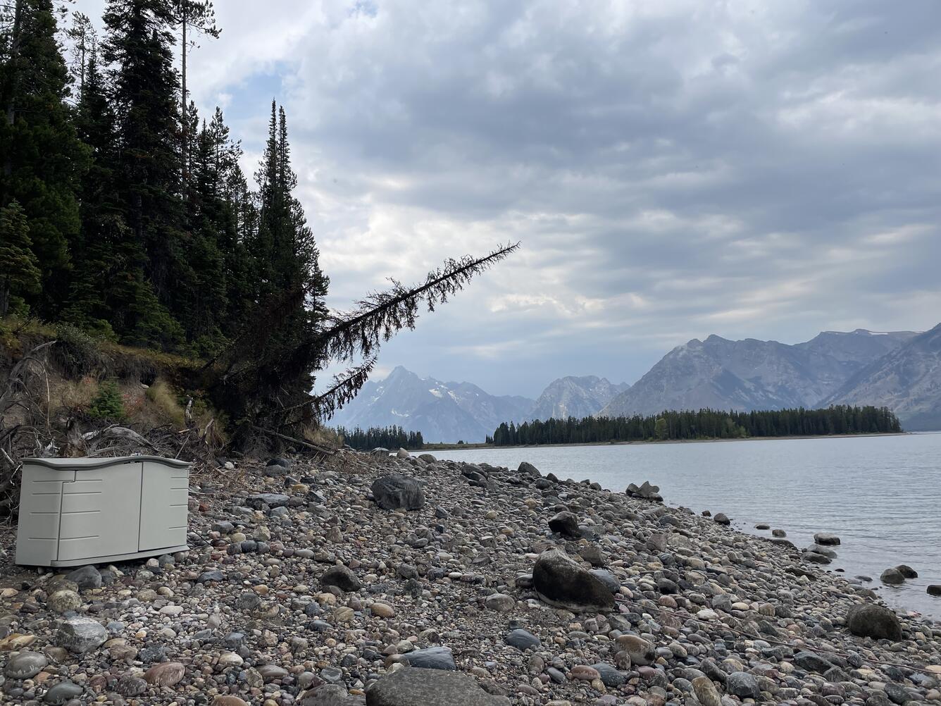 Plastic protective housing holding eDNA sampler on shore of lake