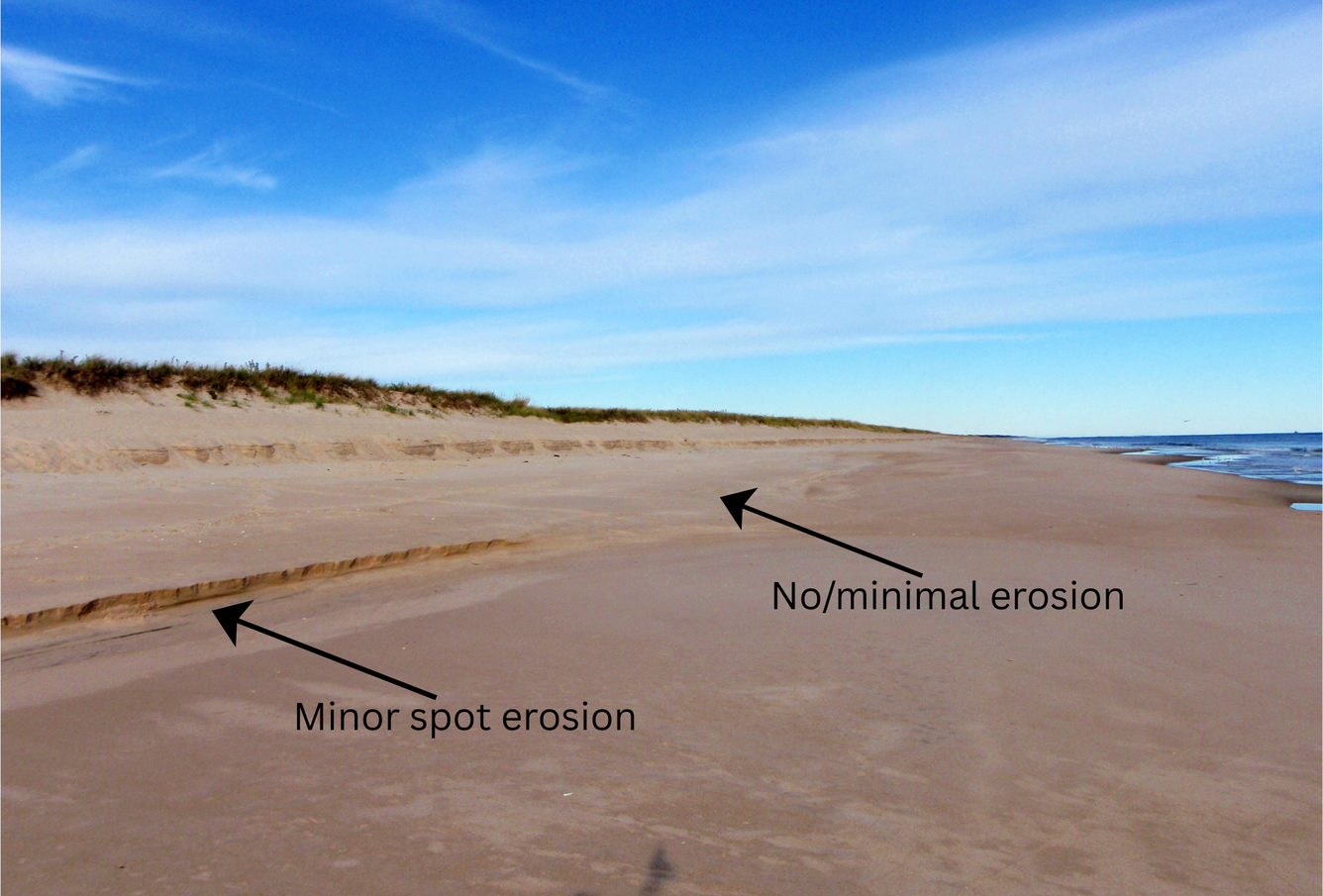 Spot erosion on a scarp at a coastal dune, Long Island, NY