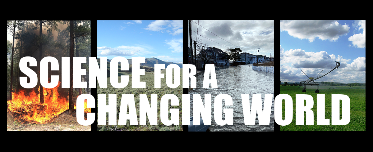 A panel of four images with a white title overlaying the photos