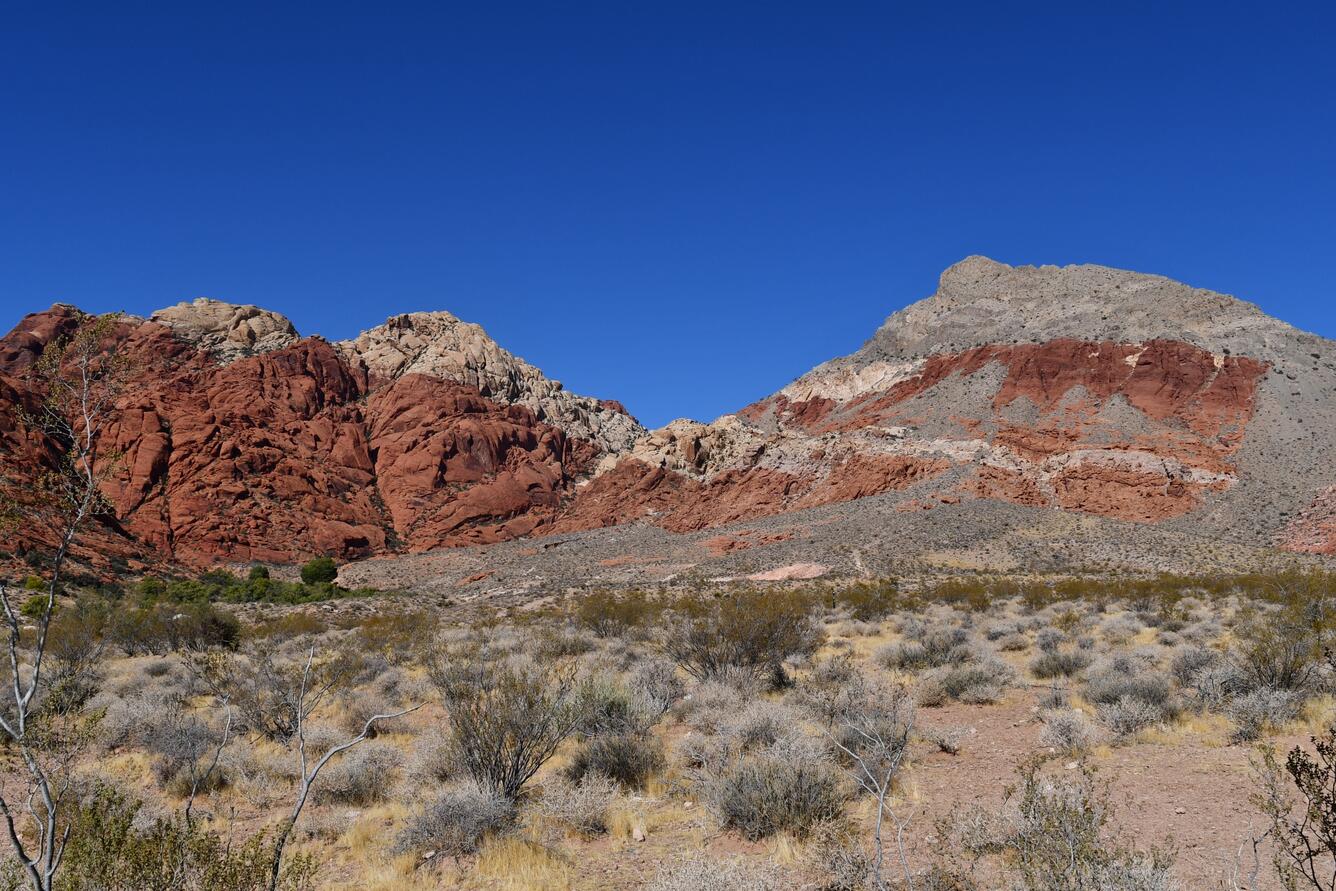 red mountains against a blue sky, shrubs in front