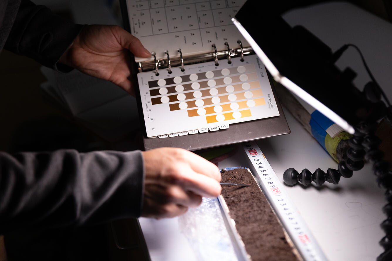 Scientists analyzing material extracted from sediment cores