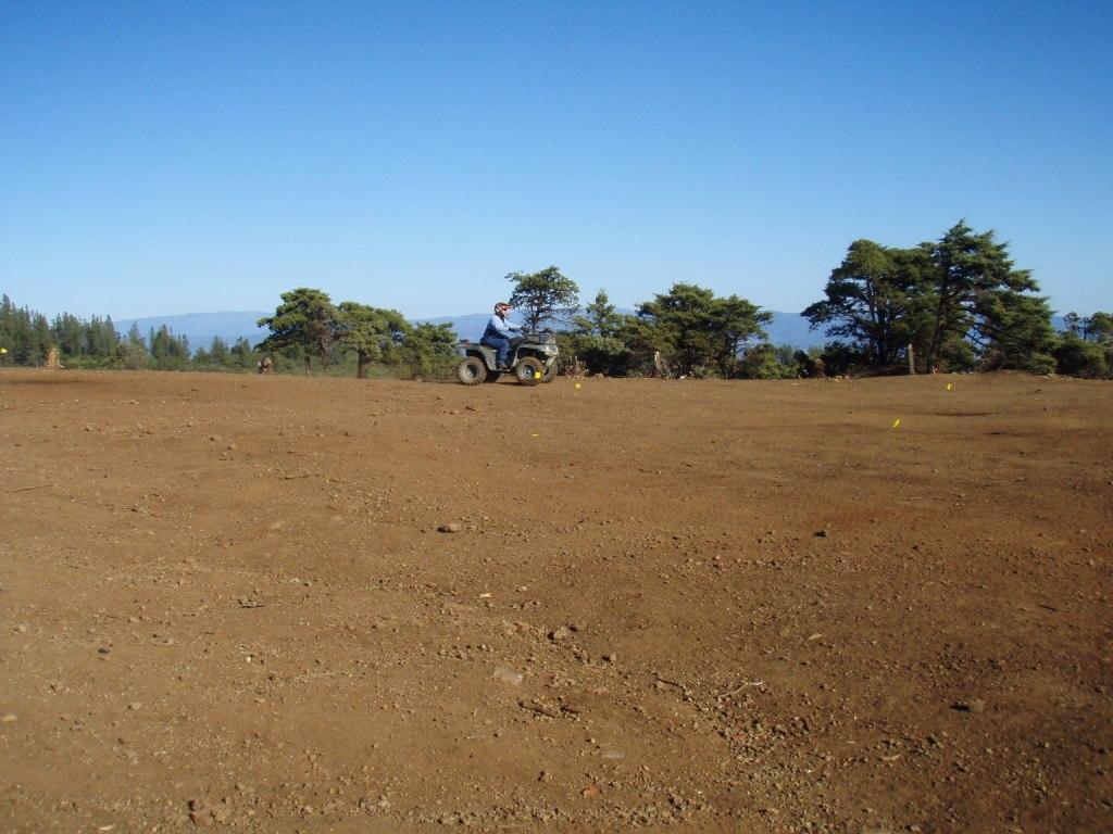 Person riding a vehicle on dirt in front of trees