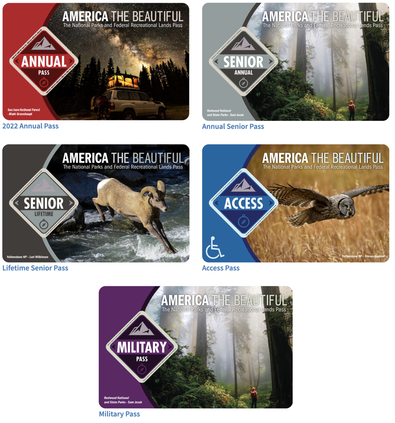 Fiver colorful park pass cards with different scenes from the parks.