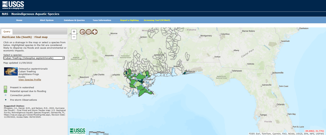 A screenshot of a map of the Gulf Coast showing areas where invasive cuban treefrogs may have spread due to Hurricane Ida
