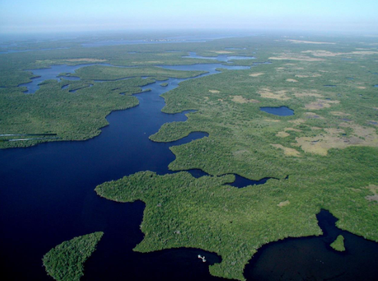 Aerial view of Everglades National Park