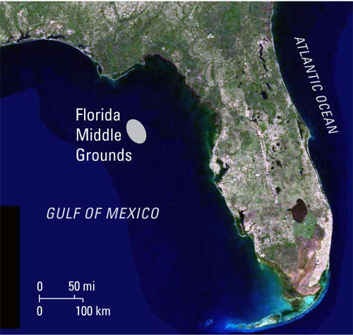 Map of Florida to show a study area in the ocean.