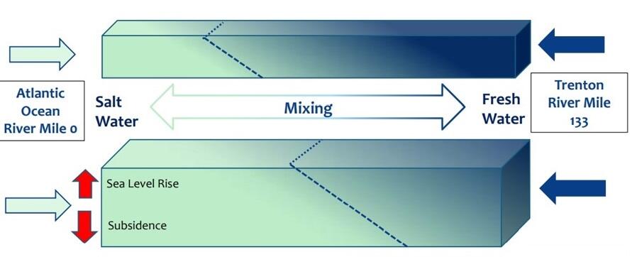 Graphic showing the division of saltwater and fresh water in intermix zones