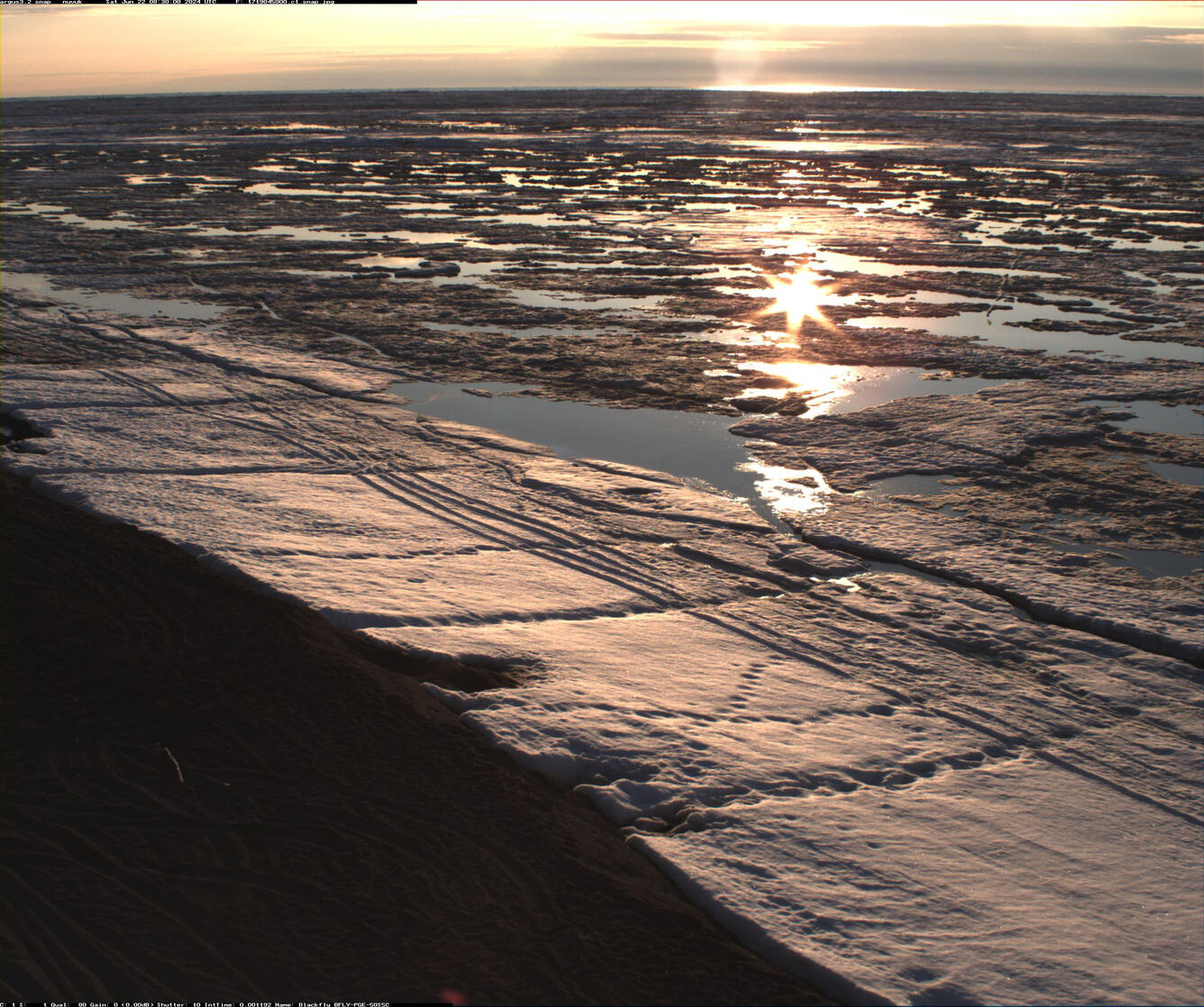 Sea ice at Nuvuk, Alaska on June 22 2024