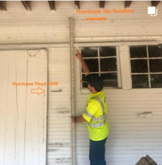 Photograph of person using a ruler to measure the height of a line of seeds on a barn