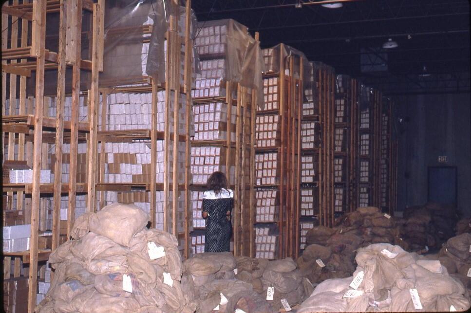 September 1992 boxes of cuttings on wooden shelves at Amstrat.jpg