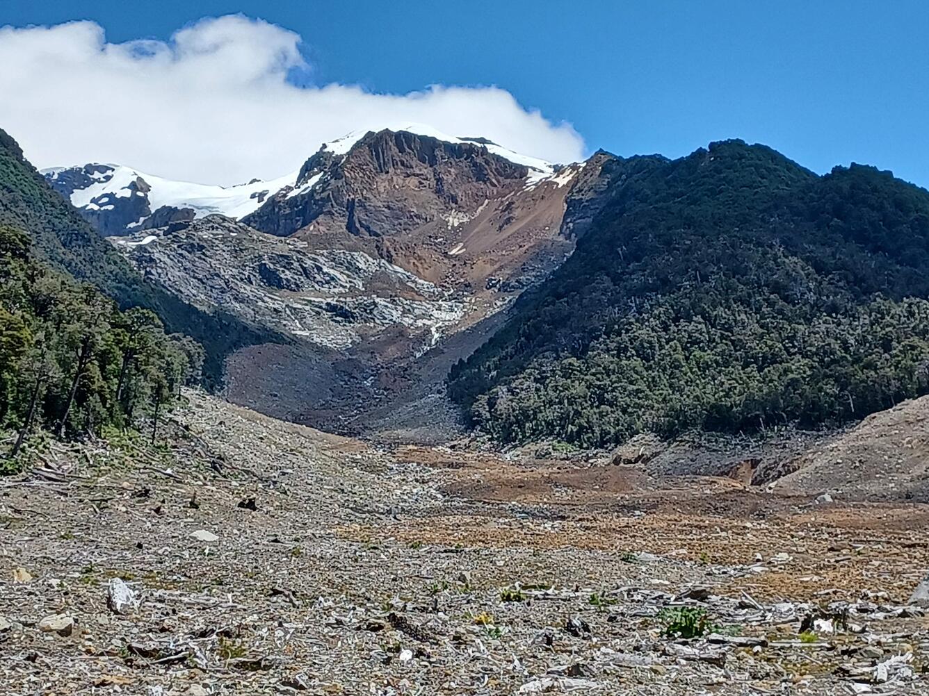 snowcapped mountain peak surrounded by tree-covered hillslopes