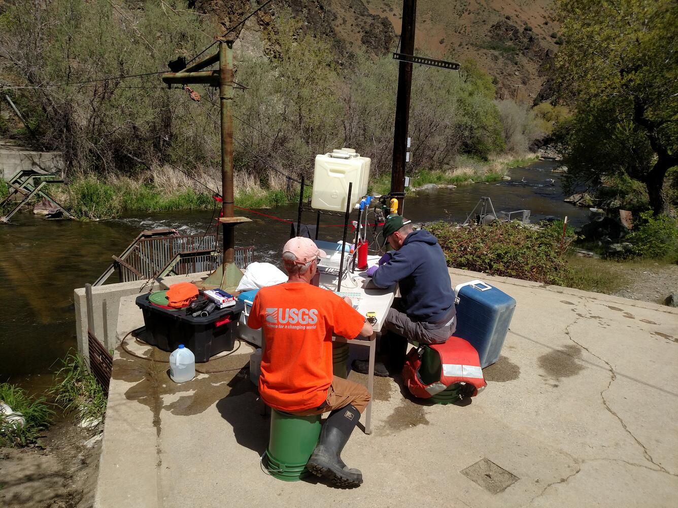 Surgically implanting transmitters into juvenile Chinook salmon