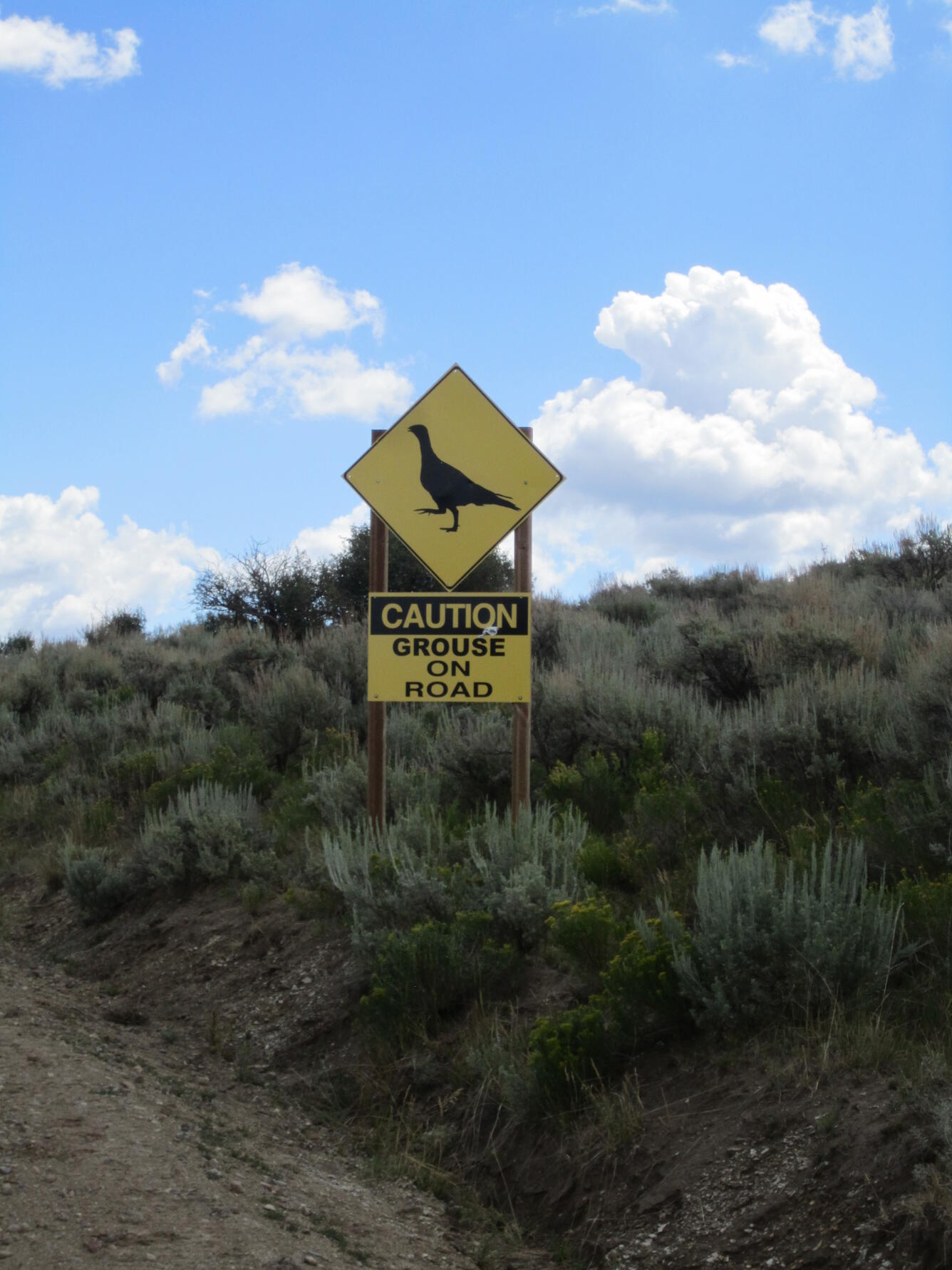 Sign with a bird, and text below reading "CAUTION grouse on road". Background of sagebrush landscape and partly cloudy sky