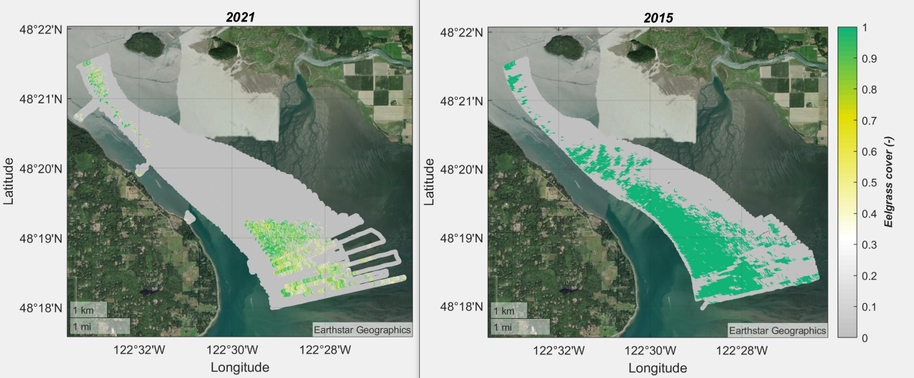 Two side-by-side maps with plots from two different years, showing vegetation cover in a shallow waterway.