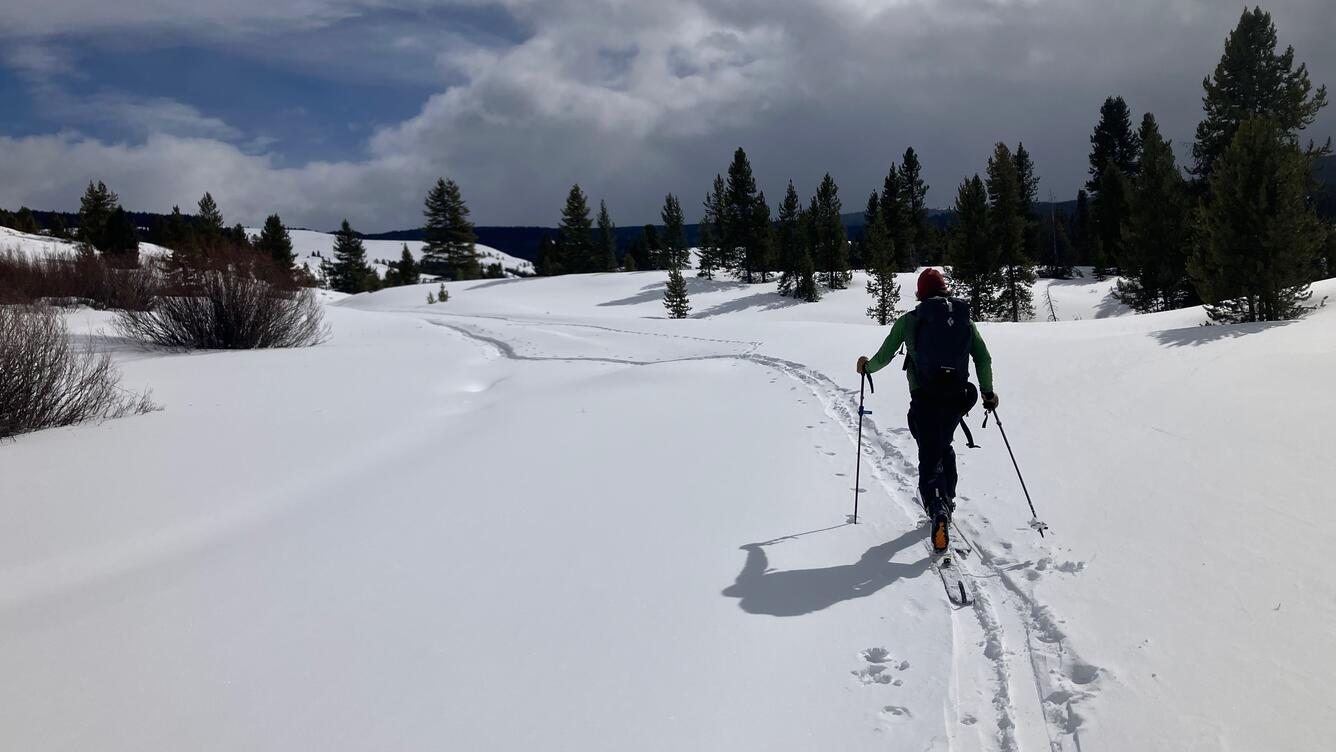 Person cross-country skiing across a white snowy landscape under partly cloudy skies with some trees in the distance