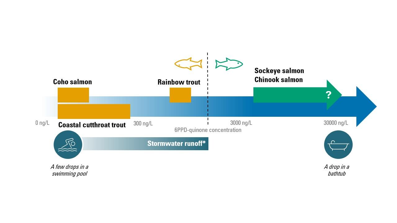 figure showing 6ppd-quinone concentrations lethal to different type of fish on log scale