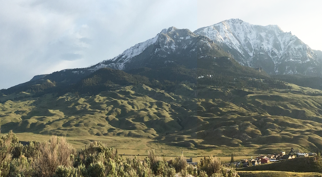 mountains in background and grassy, bumpy hillslope in foreground