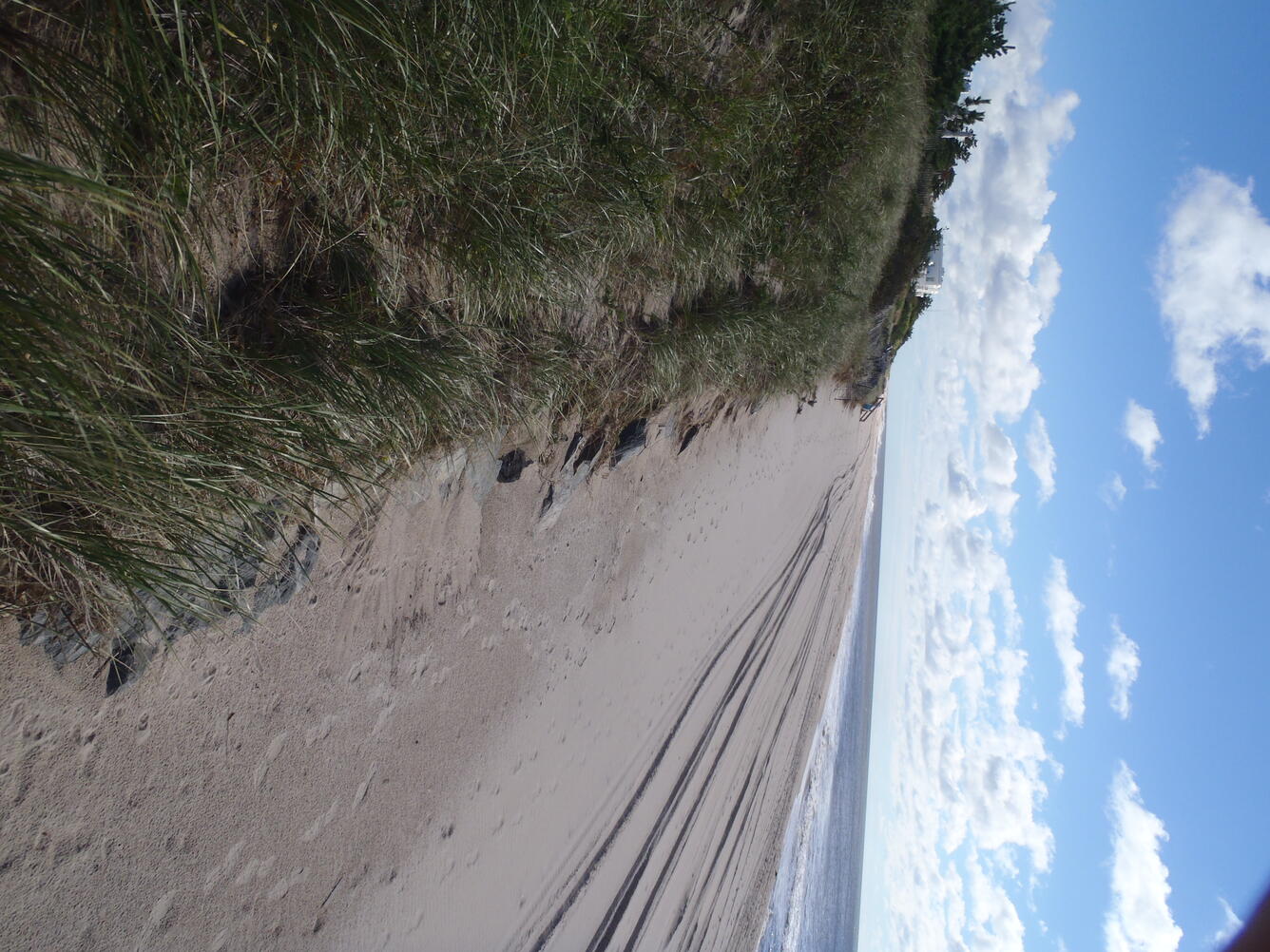 On the base of an ocean dune below vegetation, riprap rocks that were placed as a seawall are slightly exposed.