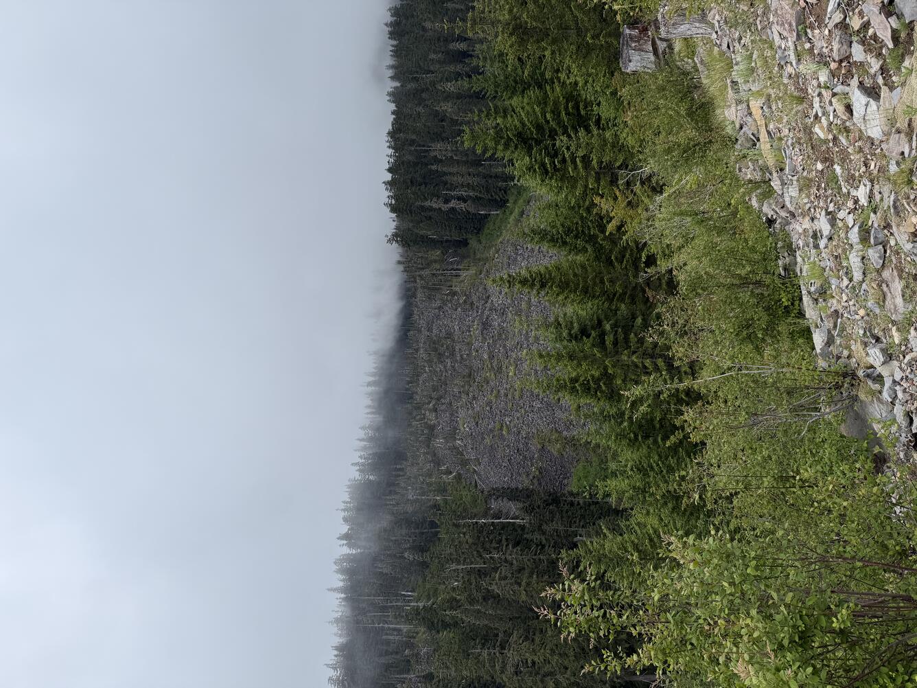 Barren talus in foreground, forested area in background with barren area in the middle, in a cloudy landscape