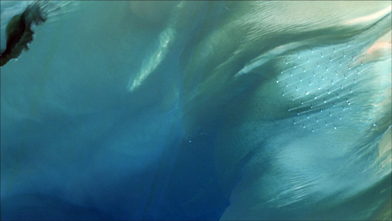 Landsat Collection 2 Provisional Aquatic Reflectance Science Product 