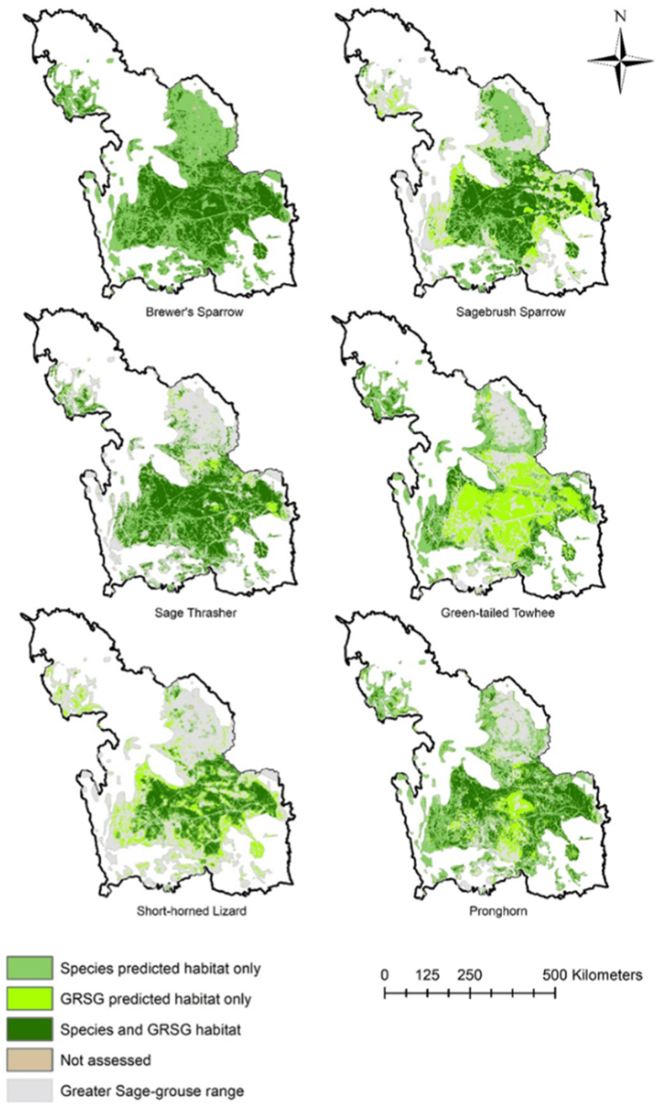 six maps displaying greater sage-grouse habitat and species occurrence 