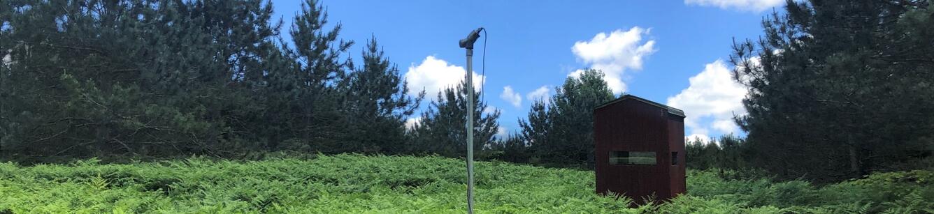Stationary acoustic station set in a northern Michigan fern glade.