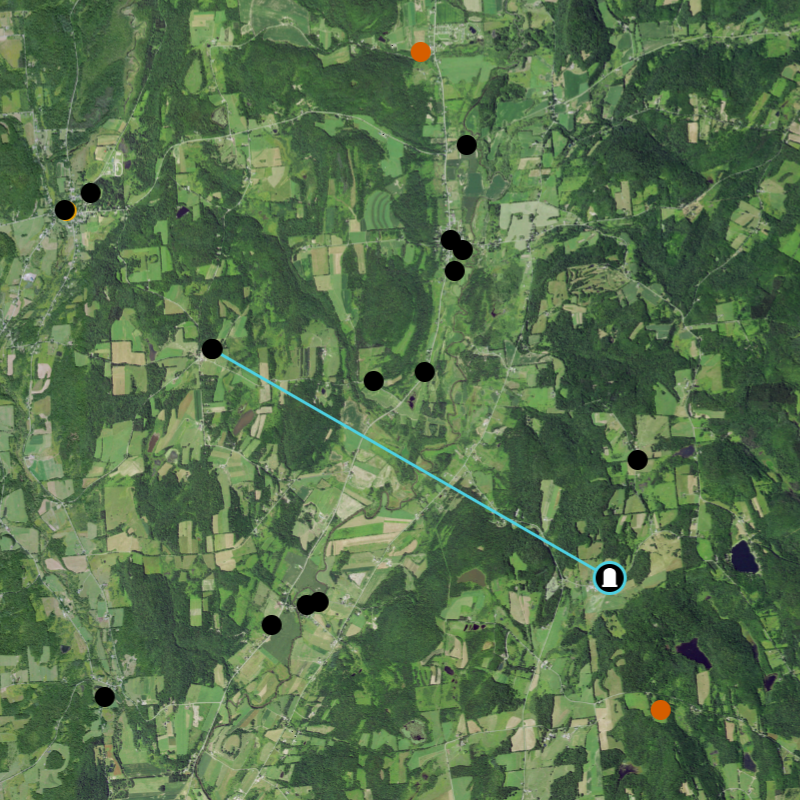 When moving points a cyan line connects a point from its original location to a new location