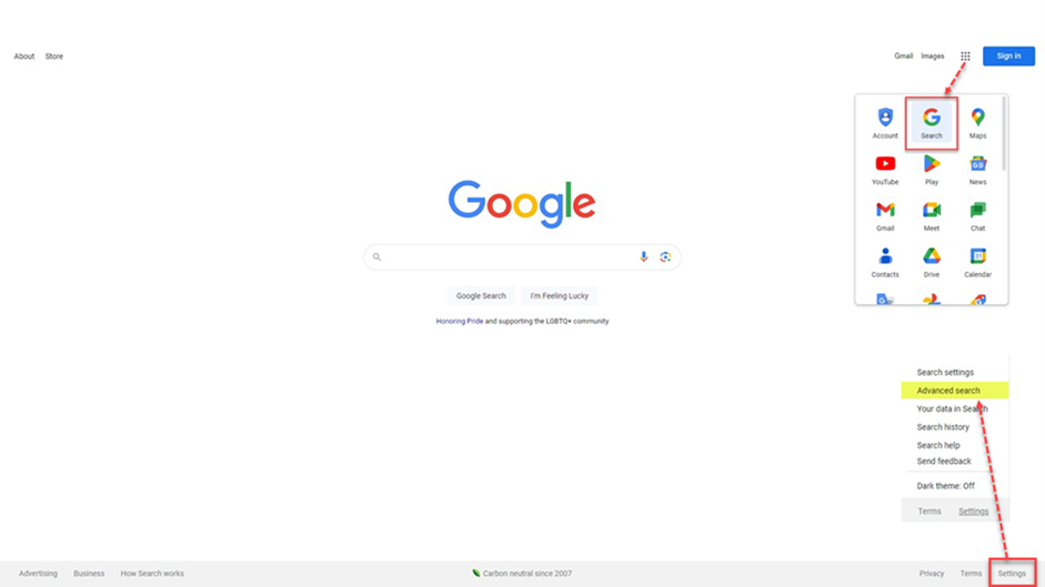 Basic Google search window view