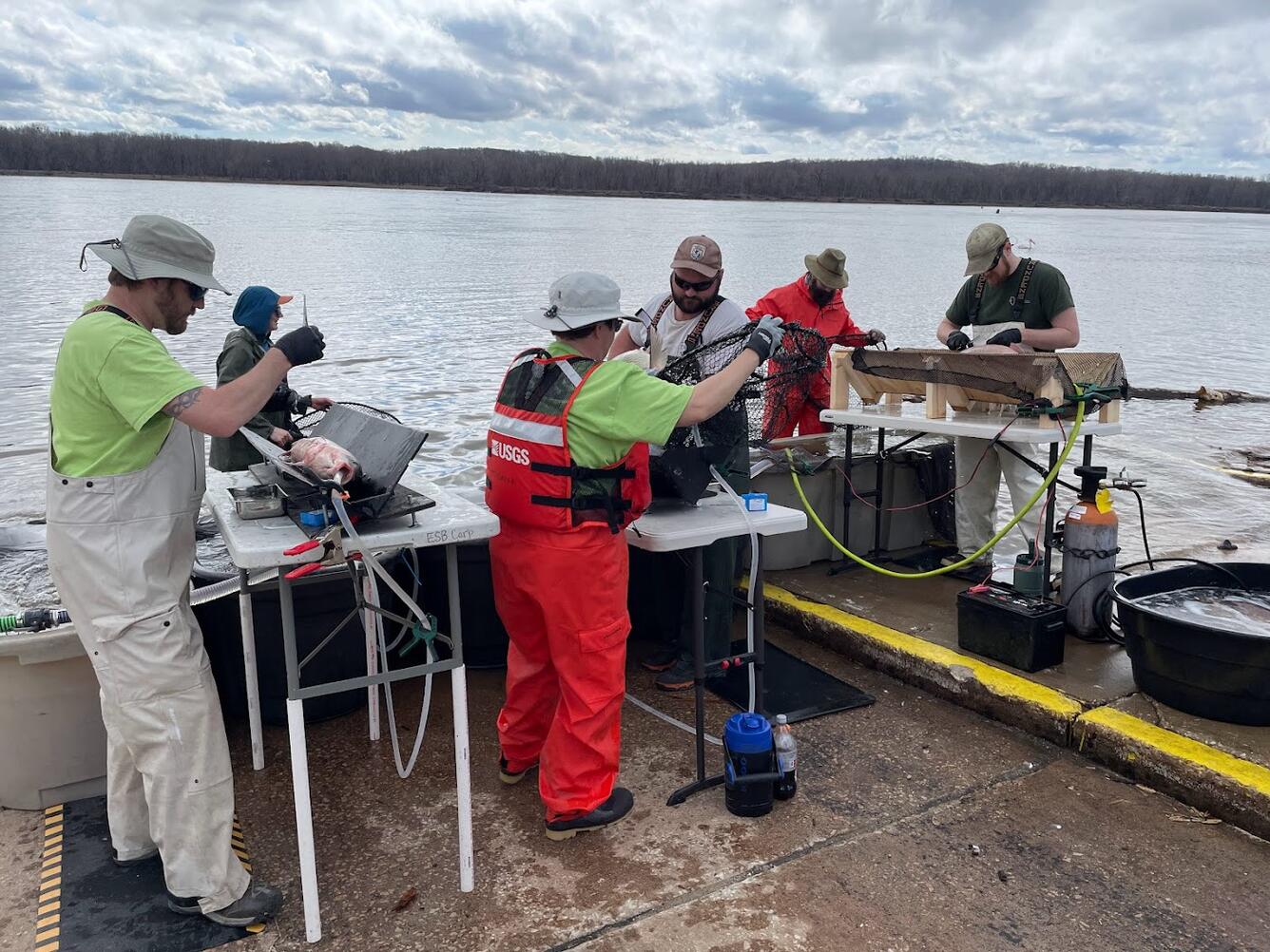 Multi-agency team collaborates to surgically implant acoustic transmitters into fish in the Mississippi River
