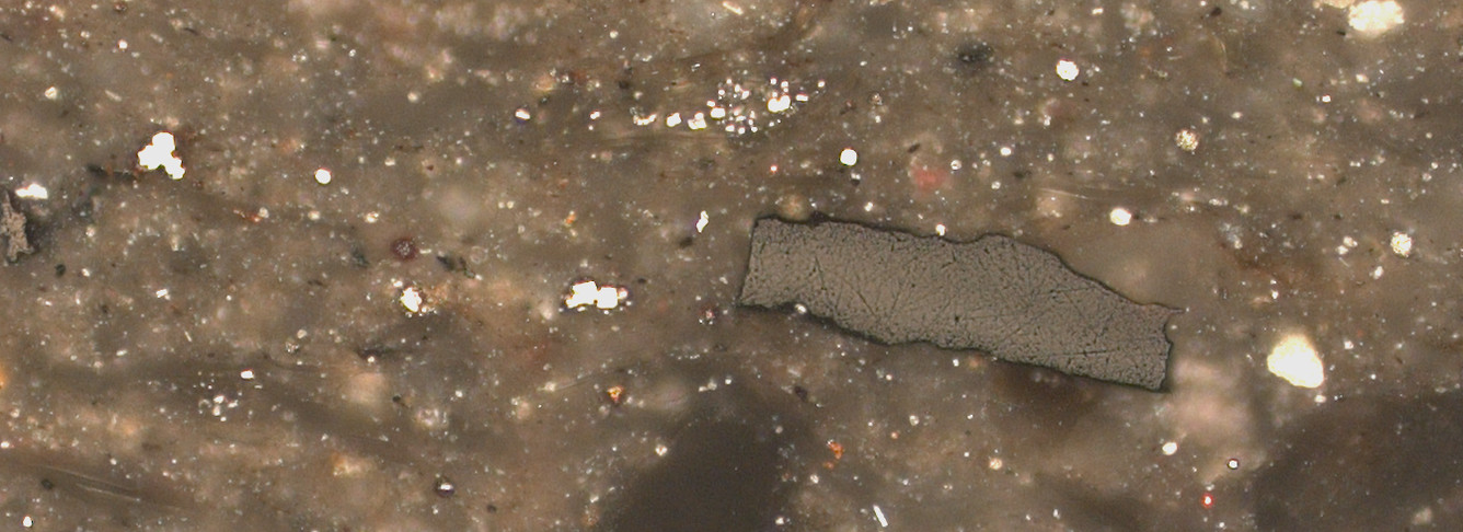 Vitrinite Reflectance Task Carousel Image