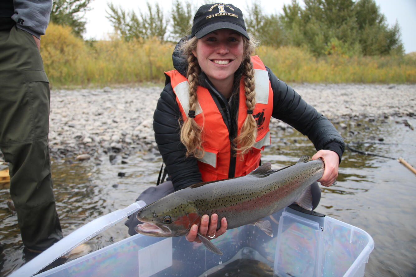 A graduate student poses with a steelhead (a type of rainbow trout)