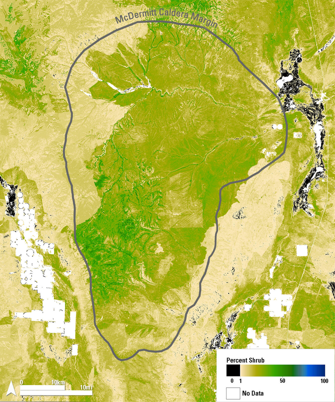 A graphic shown with varying colors of green, beige, white and black