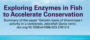 Title page for source of thiaminase discovered in prey fish
