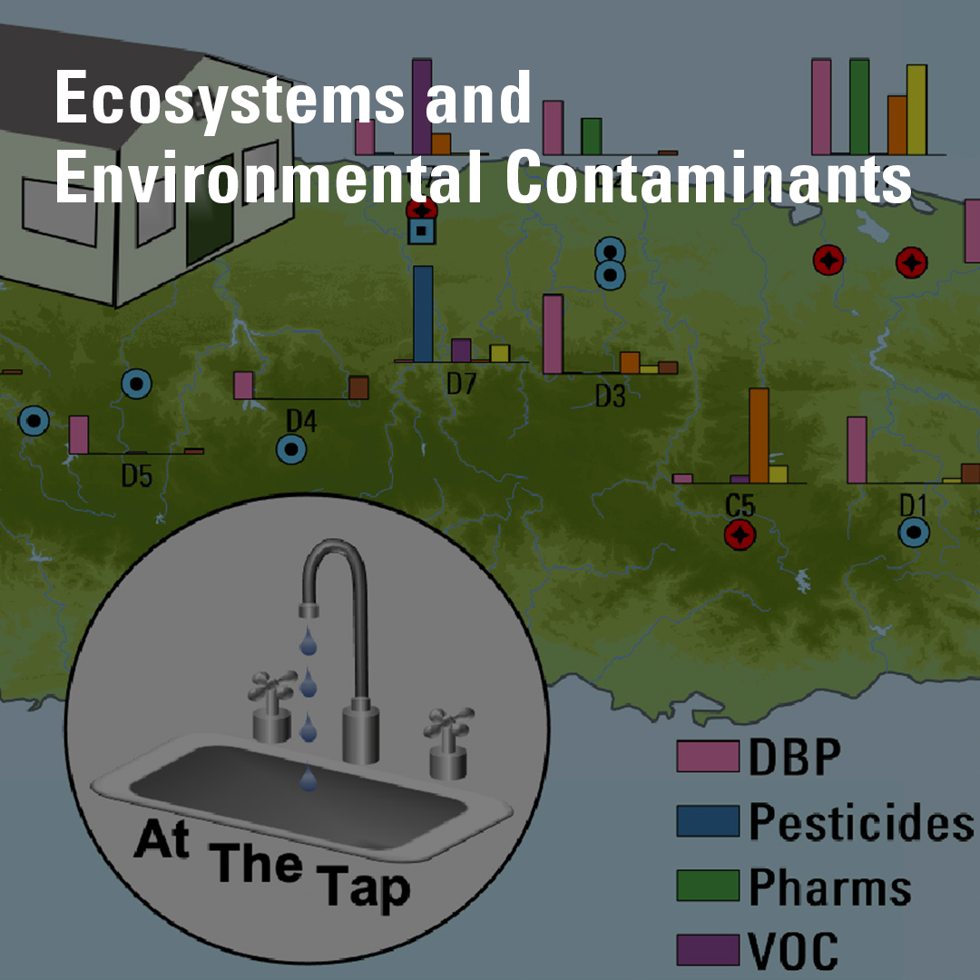 a map of puerto rico with an image of a sink and colored bar graphs. the words 'Ecosystems and Environmental Contaminants'