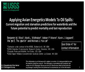 Title slide for Applying Avian Energetics Models to Oil Spills