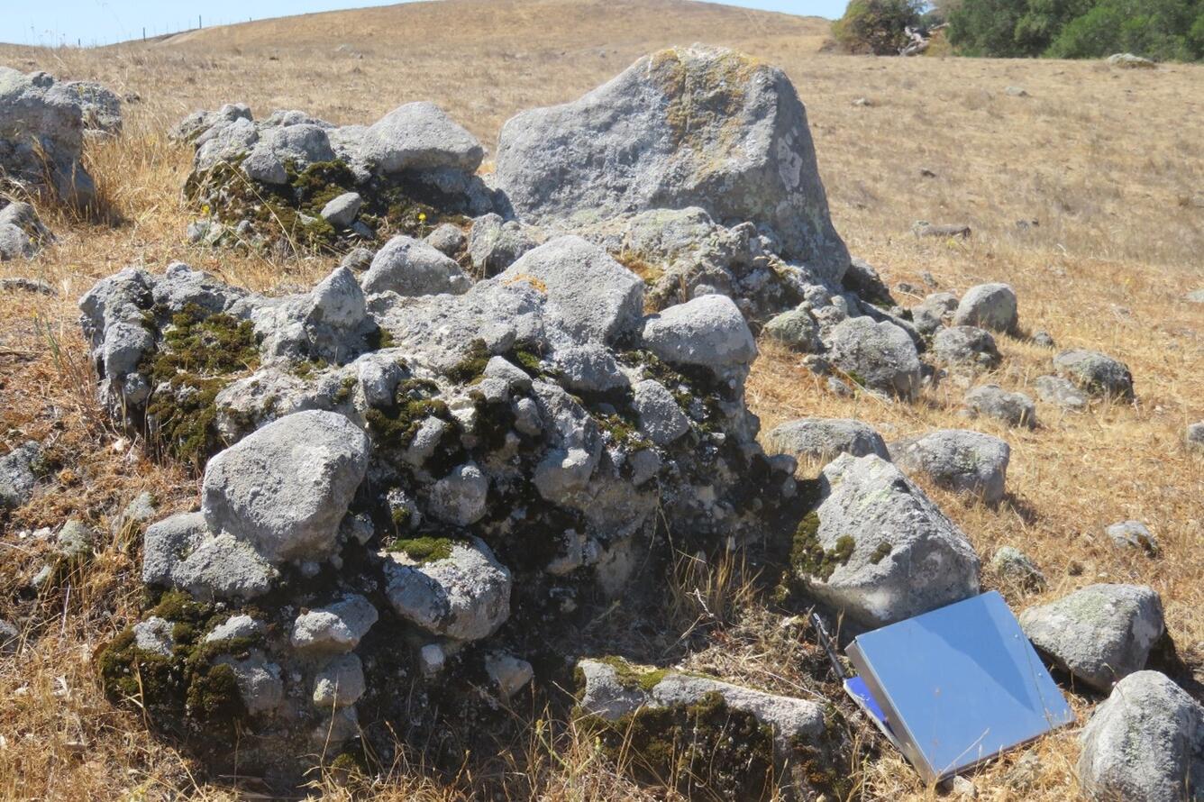 A small outcropping of rough gray boulders sits in the middle of a field of dry, tan-colored grass. A metal clipboard leans on one rock to provide scale, and a low hill with a stand of oak trees is visible in the background.