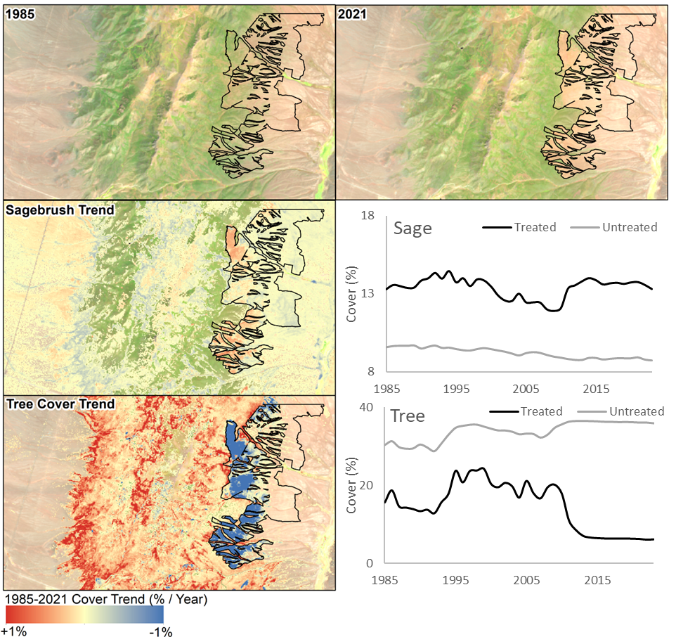 A graphic showing maps of sagebrush and trees