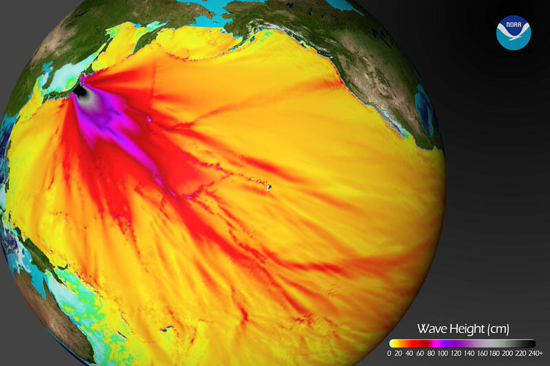 A plot showing the wave heights in the Pacific Ocean, generated by a big tsunami.