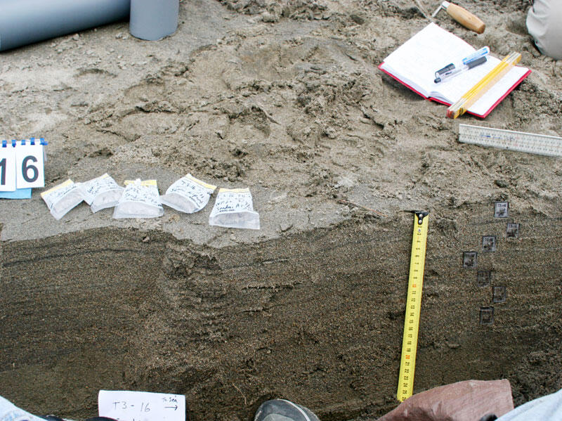 Photo of beach sand that has been carefully carved into in order to reveal the different layers underground.