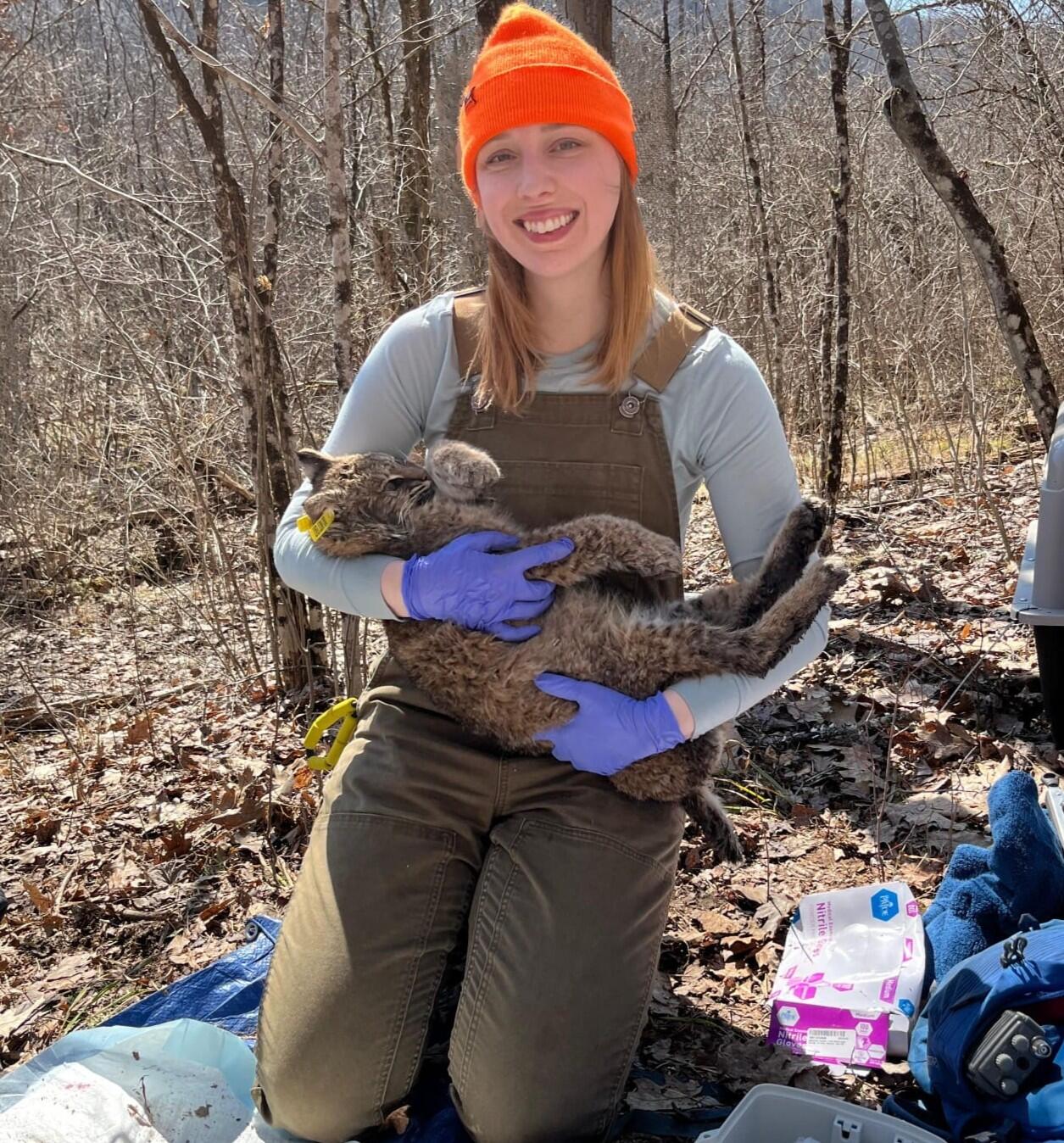 Haley Turner holding a bobcat during field work.