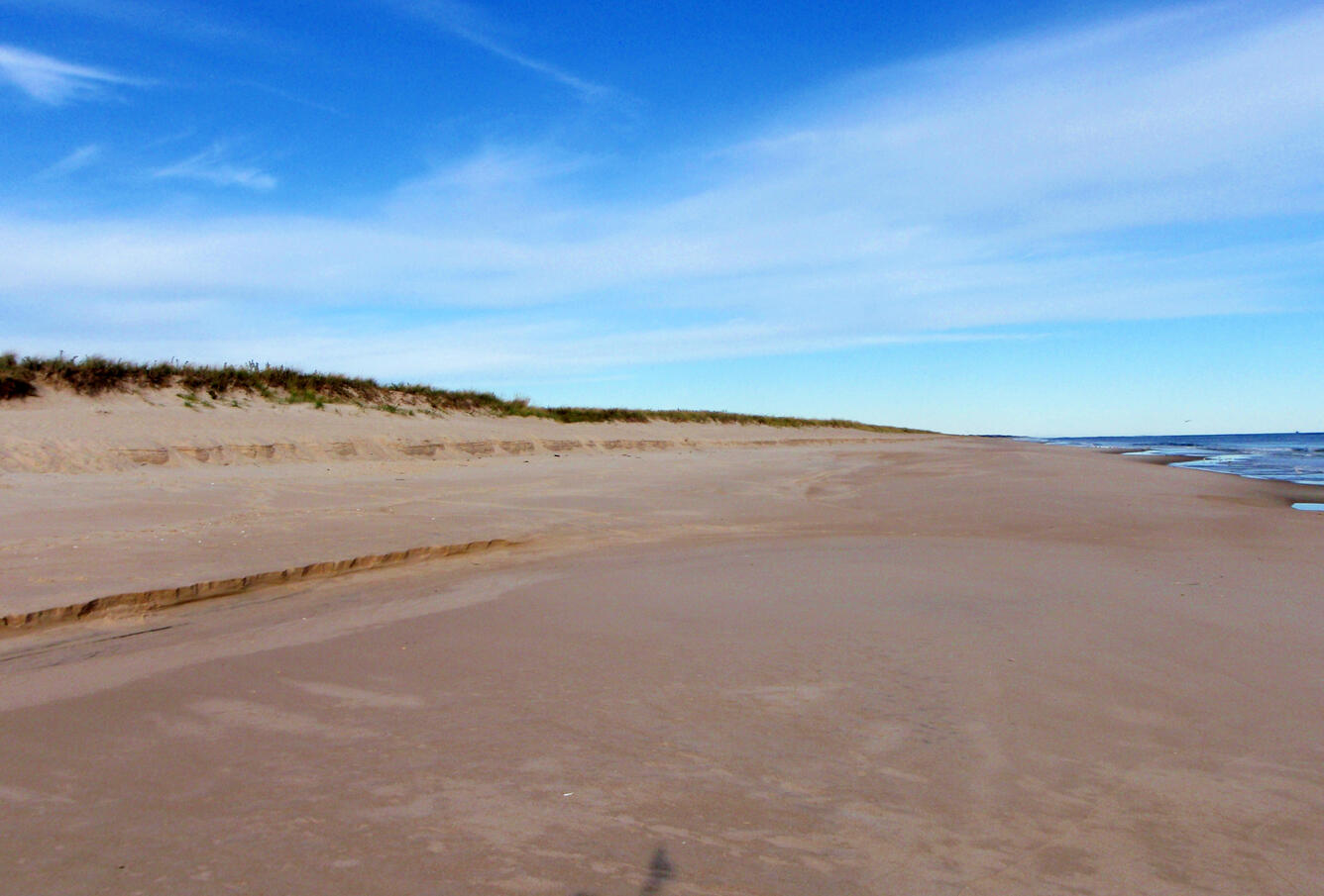 Two small scarps at the base of an ocean dune caused by wave erosion