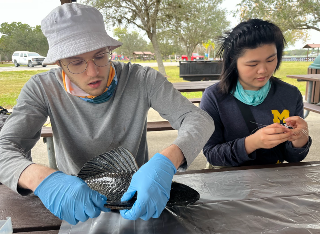 UMMZ students Ethan Reynolds and Anna Zhao processing specimens