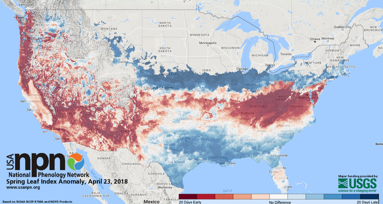 2018 spring leaf index anomaly animation